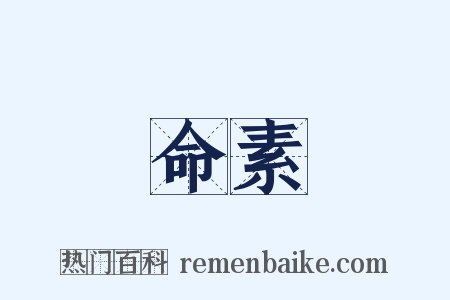 命素是什么意思的图片